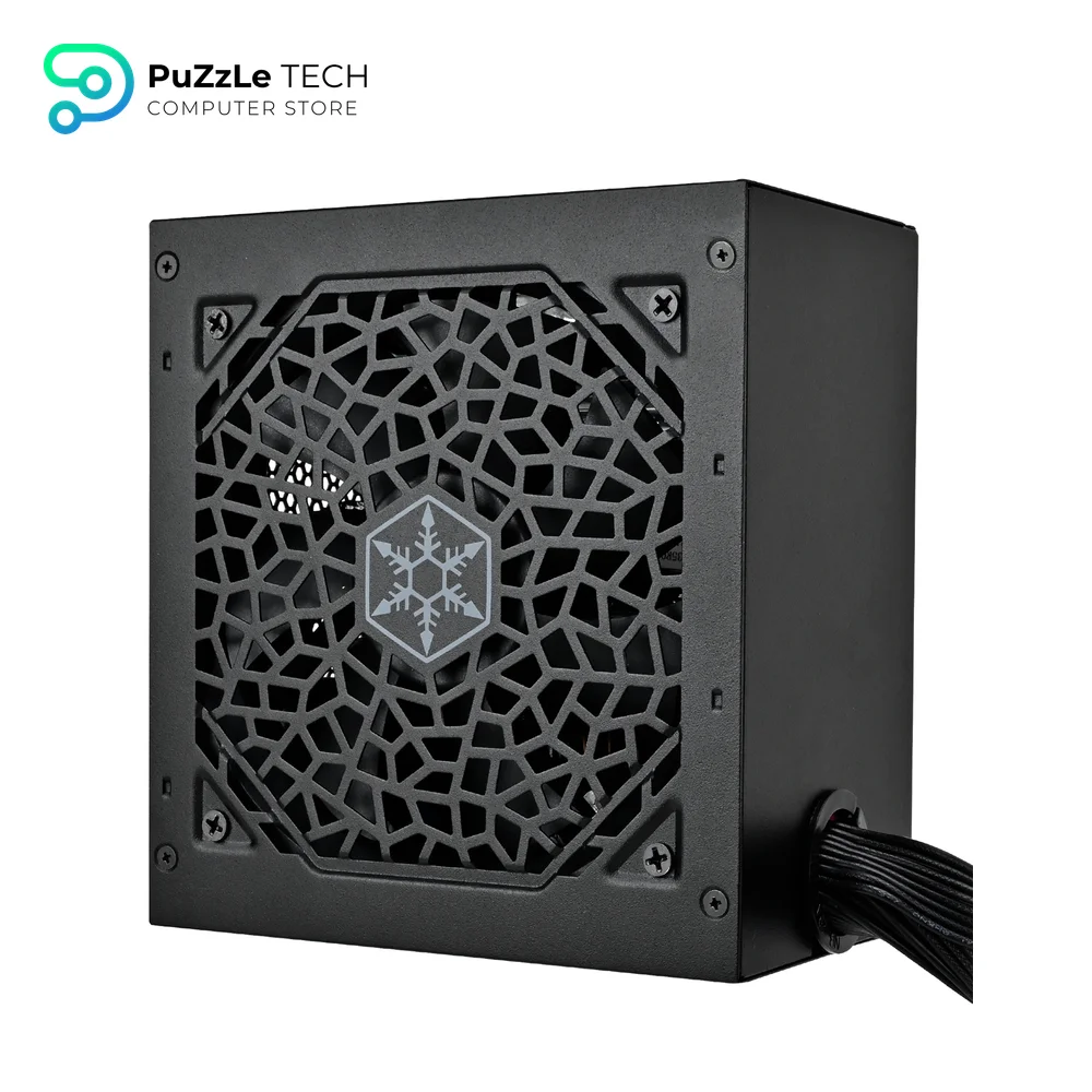 SILVERSTONE Triton 850Rx 850W Cybenetics 80+ Gold Non-Modular Power Supply